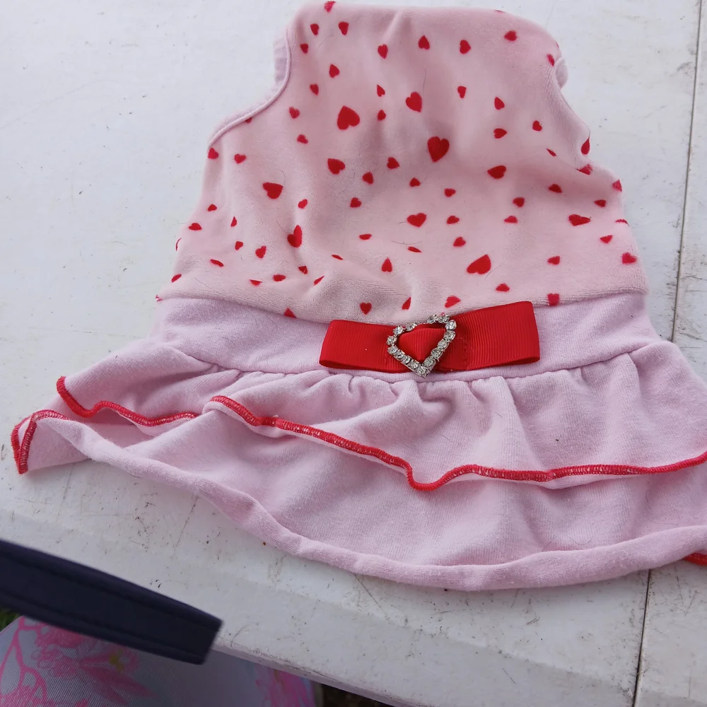 Pink and Red Heart Dog Dress